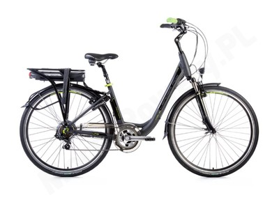 Leader Fox Induktora