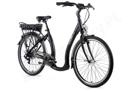 Leader Fox Holland Czarny