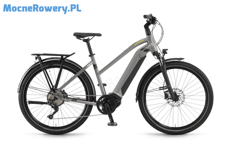 Winora Sinus iX10 DA