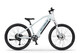 Ecobike SX Youth white
