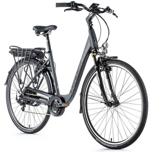 Leader Fox PARK CITY grey