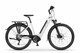 Ecobike LX 300 17"