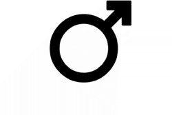 Rower elektryczny męski symbol