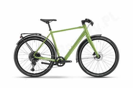 Winora E-Flitzer shamrock gloss