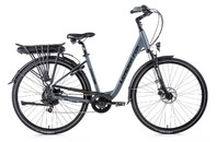 Leader Fox Induktora szary