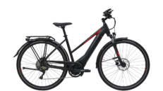 Bulls Lacuba Evo 10S DA XL