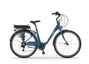 EcoBike Basic petrol