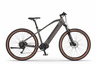 Ecobike SX 300 Copper Black 19"