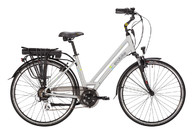 Ecobike Holland 7S Pro 350W