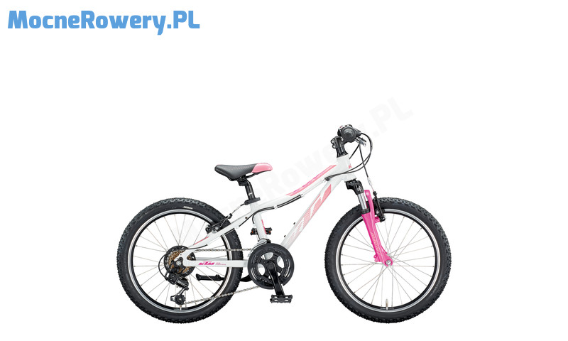 020250100 WILD BEE 20 27 white rose magenta