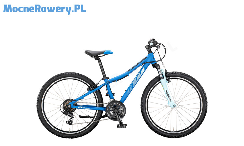 020249100 WILD BEE 24 31 darkpurple matt aqua