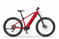 Ecobike RX 500 RED