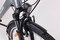 Ecobike Traffic Men grey A12