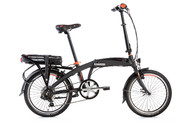 Leader Fox Tifton czarny/pom