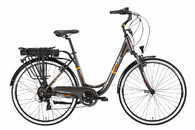 Ecobike City L Grey 28" 19 cali