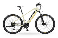 Ecobike SX 300 sandstorm
