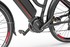 Ecobike RL trekkingowy rower elektryczny dla kobiet 4