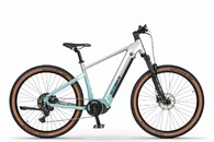 Ecobike Core Arctic Fade 1008 Wh