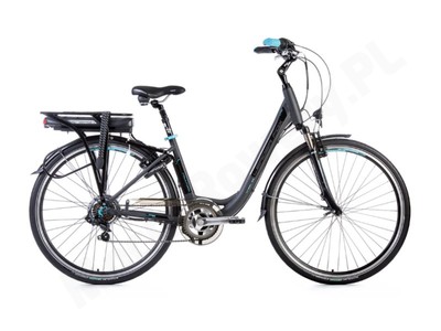 Leader Fox Induktora