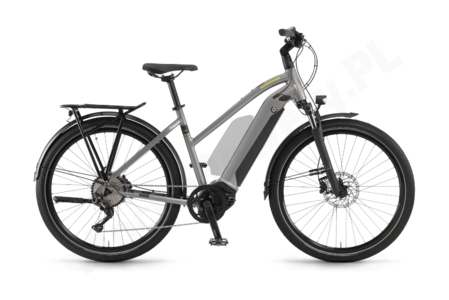 Winora Sinus iX10 DA