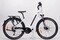 Ecobike LX 300 White Rose elektryczny rower trekkingowy silnik centralny 1