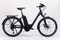 WINORA Tria 9 Wave miejski rower elektryczny 13