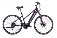 Leader Fox Bend Lady czarny/fiolet 16,5"