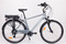 Ecobike Traffic Men grey A19