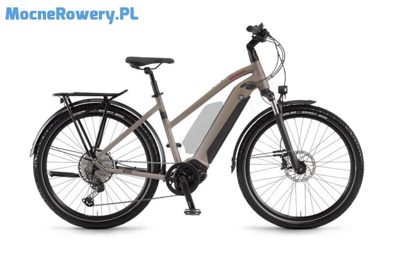 Winora Sinus iX12 DA