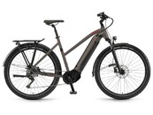 Winora Sinus iX12 DA