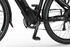 Ecobike X Cross Black 2024 9