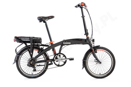 Leader Fox Tifton czarny/pom