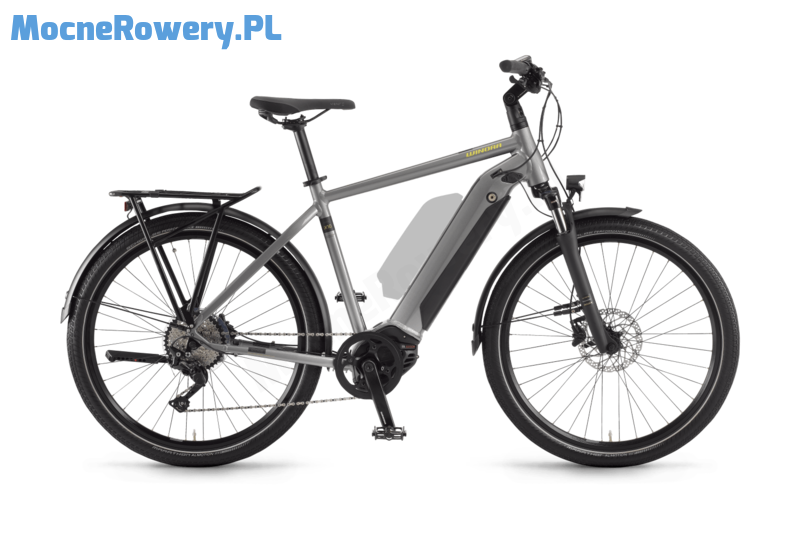 Winora Sinus iX10 ME