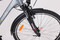 Ecobike Traffic Men grey A9