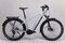 Haibike Trekking 7 High trekkingowy rower elektryczny ebike 1