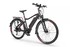 Ecobike RM trekkingowy rower elektryczny 3