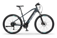 Ecobike SX 300 cool gray
