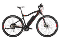 Ecobike Speed MTB 29 cali 750W