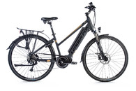 Leader Fox Lucas Lady czarny/zloty