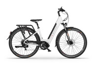 Ecobike LX 300