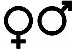 Rower elektryczny unisex rama jednorurowa