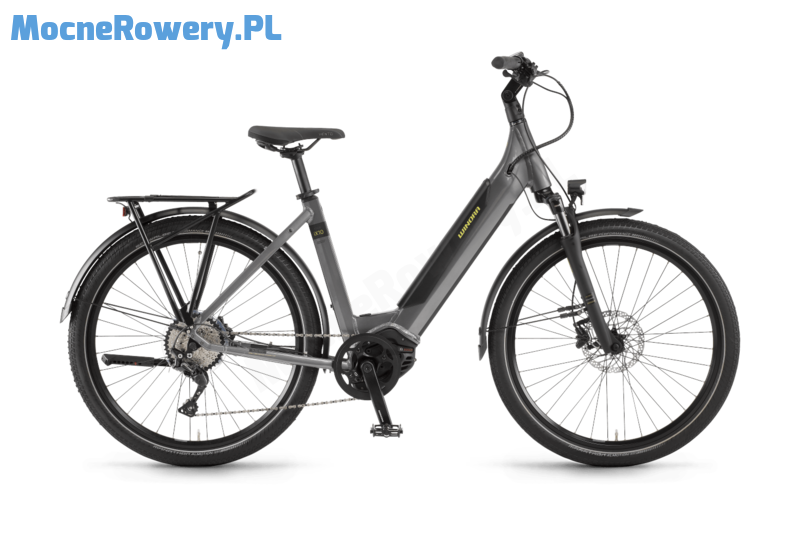 Winora Sinus iX10 Wave