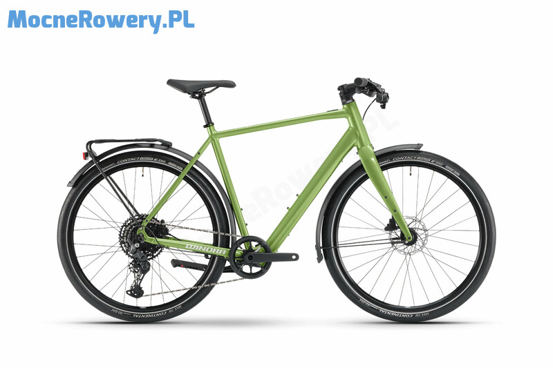 Winora E Flitzer shamrock gloss