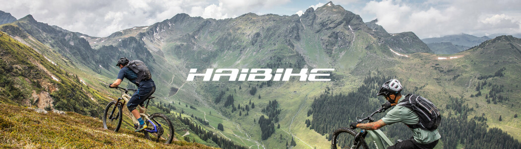 Rowery elektryczne Haibike 2022