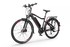 Ecobike RM trekkingowy rower elektryczny 2