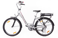 Lovelec Castor 13Ah (90 km)