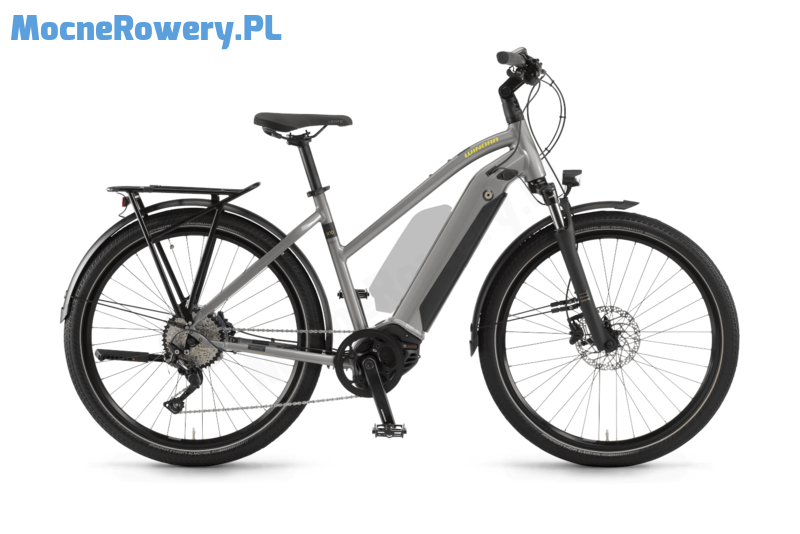 Winora Sinus iX10 DA