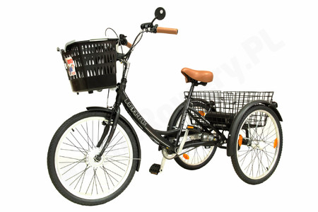 Leader Fox Bormio z silnikiem elektrycznym