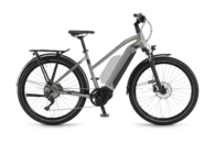 Winora Sinus iX10 DA