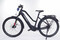 Haibike Trekking 6 mid black trekkingowy rower elektryczny 1
